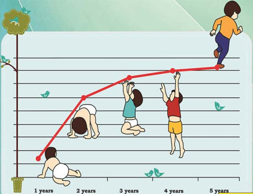 Chiều cao cân nặng chuẩn của các sao nữ Hàn Quốc