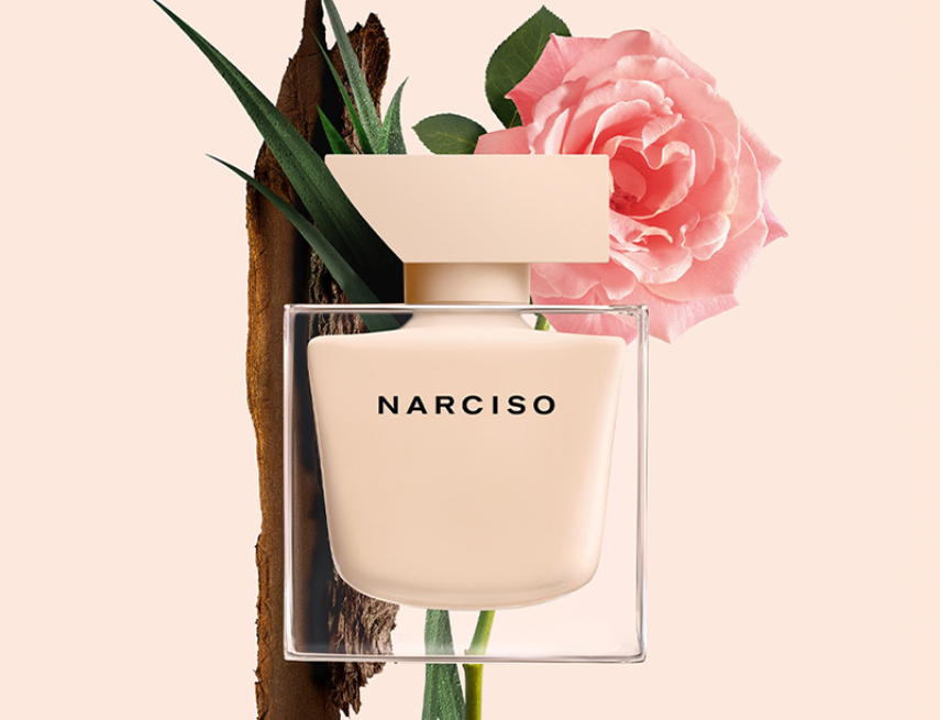 Nước hoa Narciso hồng thấp