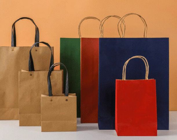 Câu đố kiến thức: Sử dụng loại túi nào là tốt nhất cho môi trường khi mua sắm?