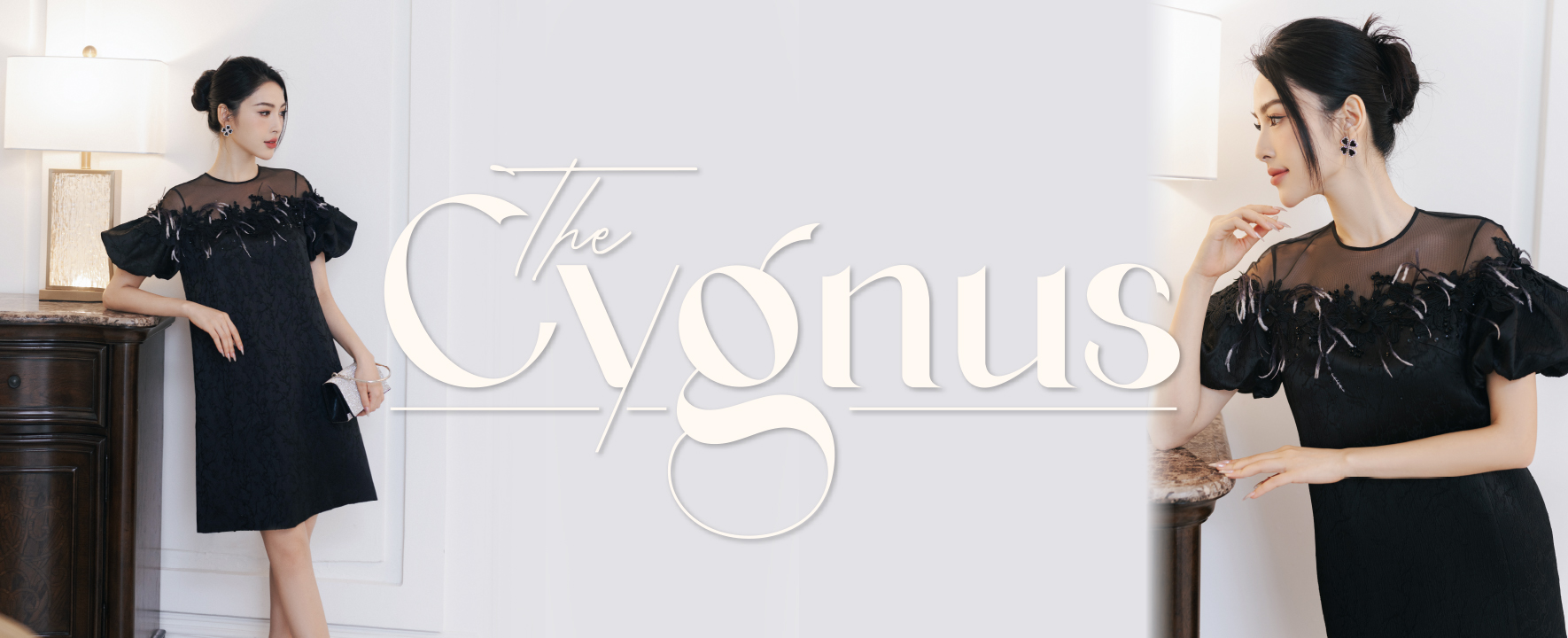 THE CYGNUS