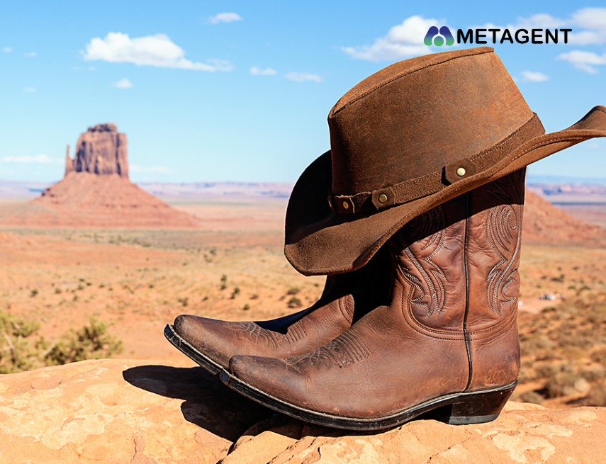 Cowboy boots cá tính