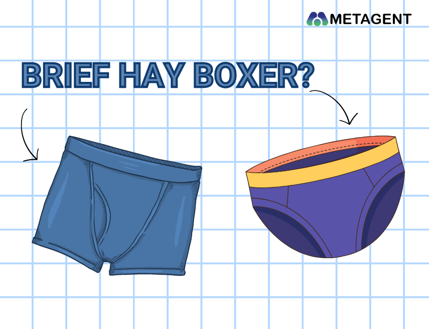 Phân biệt Brief với Boxer