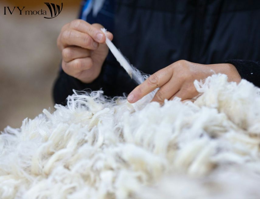 Quy trình sản xuất Merino Wool