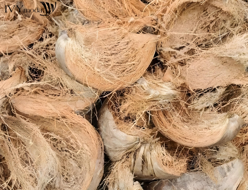 Sợi Coir hỗ trợ cây phát triển