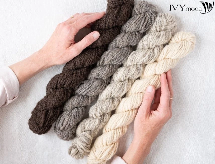 Tìm hiểu thông tin chung về chất vải Bison Wool 