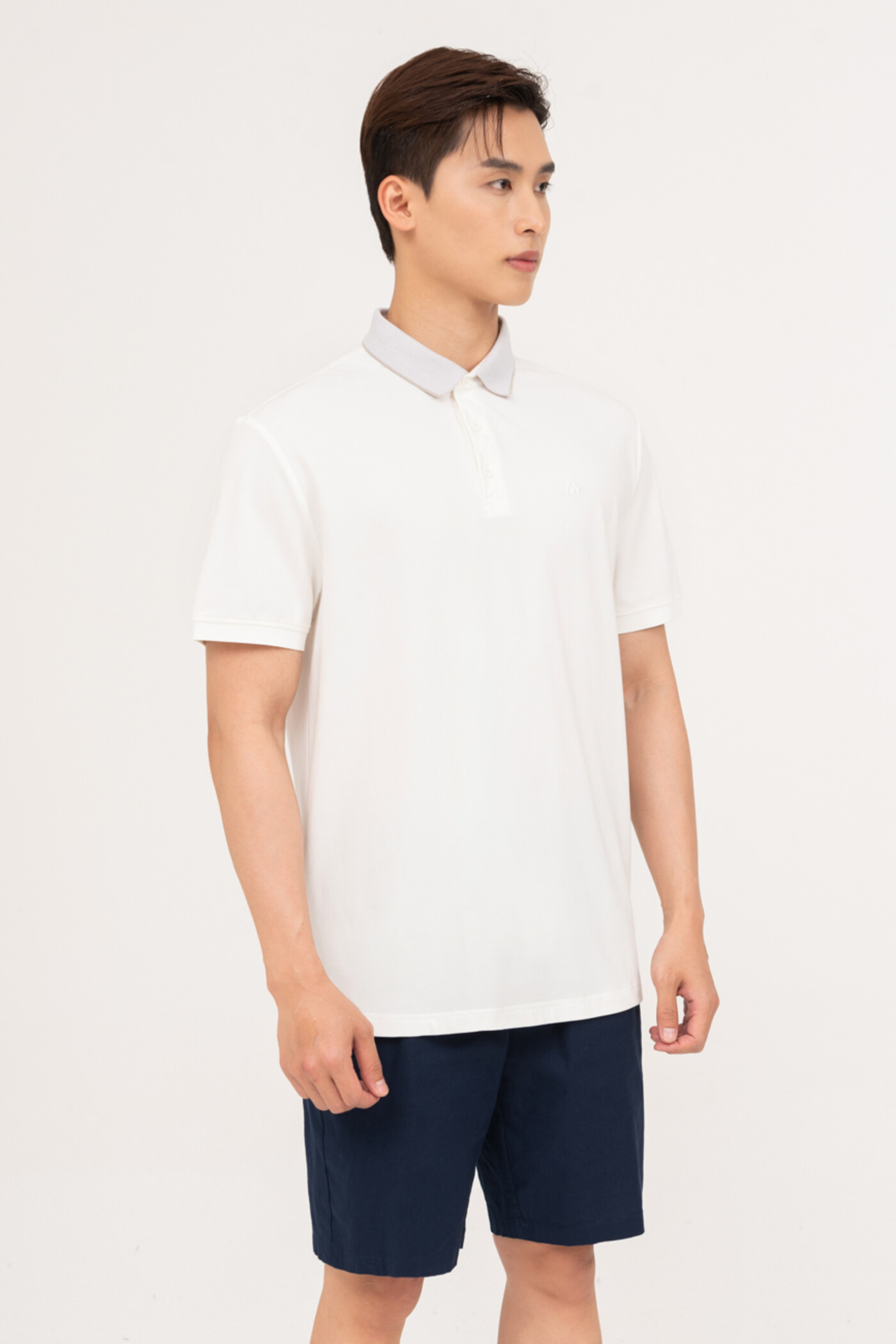 Áo Polo Regular mix màu cổ