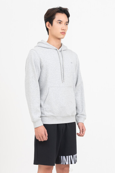 Hoodie Basic Metagent