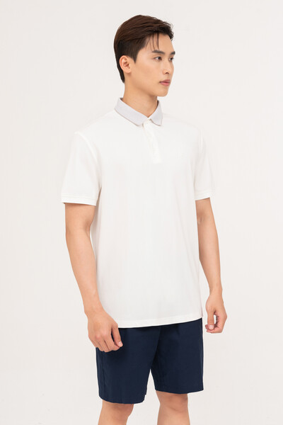 Áo Polo Regular mix màu cổ