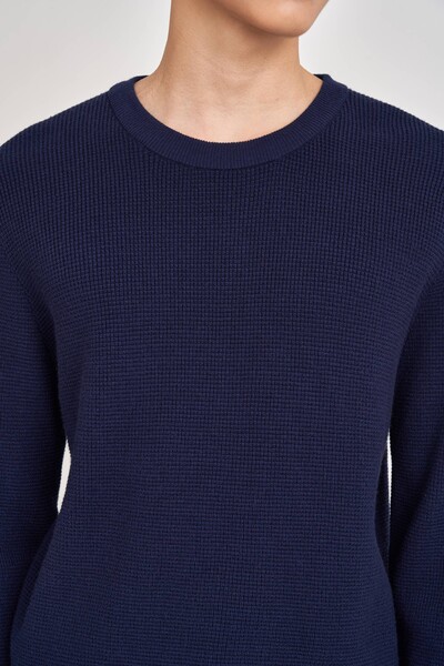 Crest jumper - Áo len phối màu Regular fit