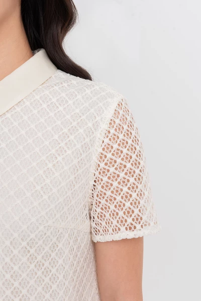 Áo cánh Polo phối ren