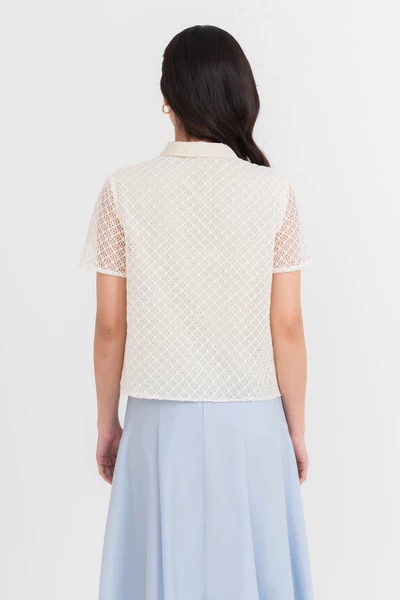 Áo cánh Polo phối ren