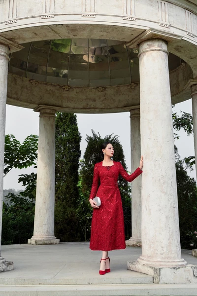 Rose Starlit Dress - Đầm dạ hội ren pha lê