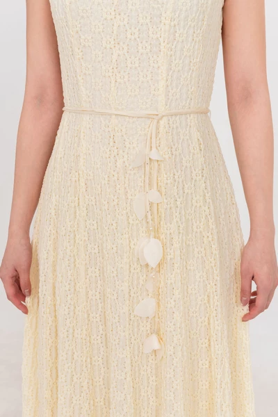 Đầm thun ren Golden Lace