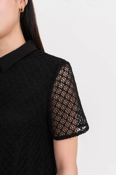 Áo cánh Polo phối ren