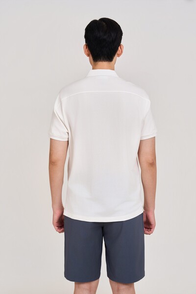 Áo Polo Cotton Daily