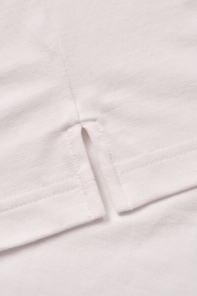 Áo Polo Cotton Daily